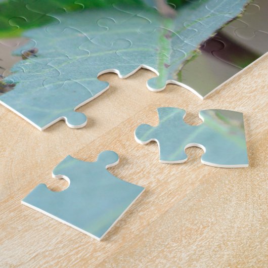 Grass Hopper Guyana. Legpuzzel (Zijkant)