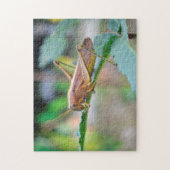 Grass Hopper Guyana. Legpuzzel (Verticaal)