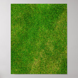 Grass Lawn Poster