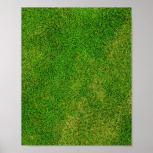 Grass Lawn Poster