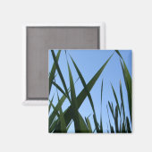 Grass Magnet (Voorkant / Achterkant)