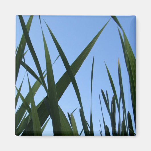 Grass Magnet (Voorkant)