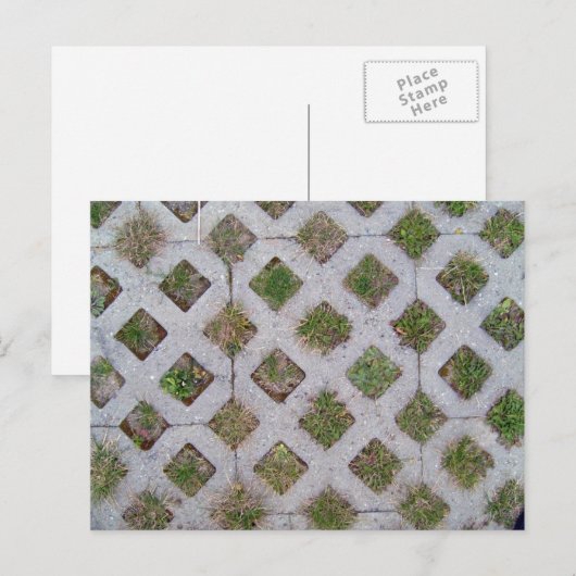 Grass Paver met Gecontroleerd Patroon Briefkaart (Voorkant / Achterkant)