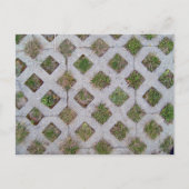 Grass Paver met Gecontroleerd Patroon Briefkaart (Voorkant)