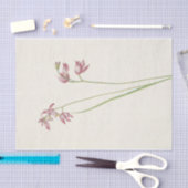 Grass-Pink Orchard van Mary Vaux Walcott Tissuepapier (Craft)