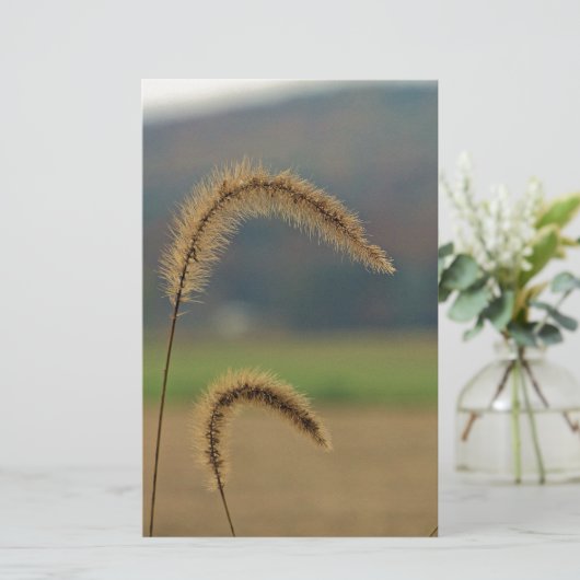 Grass Seed Stalks Briefpapier (Staand voorkant)