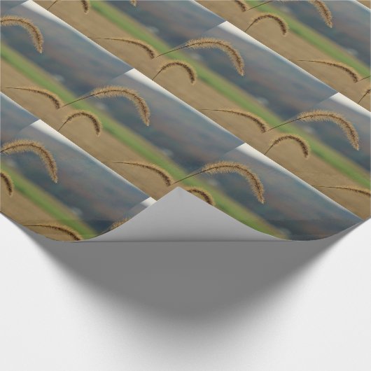 Grass Seed Stalks Cadeaupapier (Hoek)