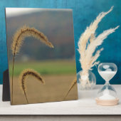 Grass Seed Stalks Fotoplaat (Zijkant)