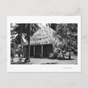 Grass Shack op Beach - Hawaii Island Briefkaart
