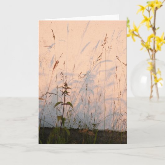 Grass Shadows Kaart (Gele Bloem)