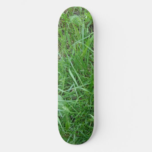 Grass Skateboard (Voorkant)