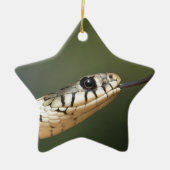Grass Snake Keramisch Ornament (Voorkant)
