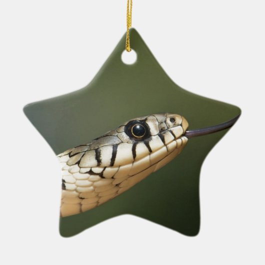 Grass Snake Keramisch Ornament (Voorkant)