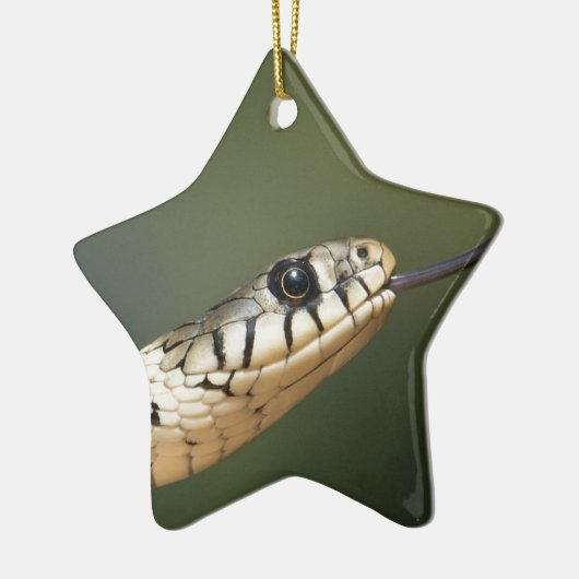 Grass Snake Keramisch Ornament (Links)