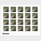 Grass Snake Vierkante Sticker (Vel)