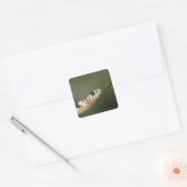 Grass Snake Vierkante Sticker (Envelop)