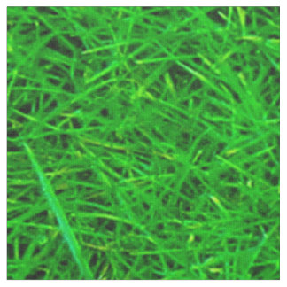 Grass Texture Stof