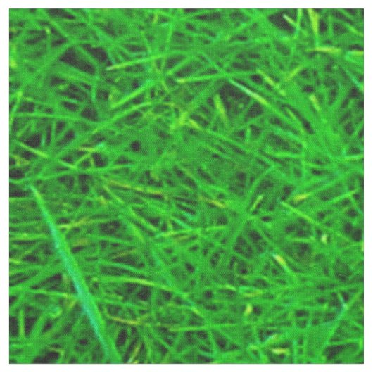 Grass Texture Stof (Close Up)