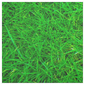 Grass Texture Stof (Swatch)
