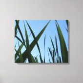 Grass Wrapped Canvas Wall Decor Afdruk (Voorkant)