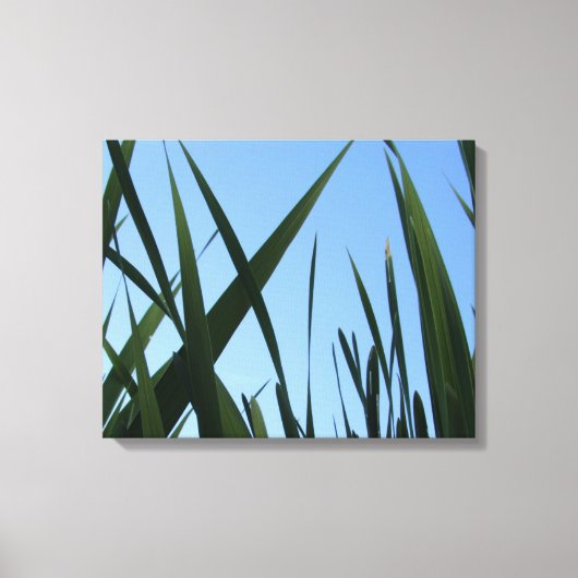 Grass Wrapped Canvas Wall Decor Afdruk (Voorkant)