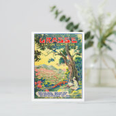 Grasse France vintage Briefkaart (Staand voorkant)
