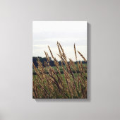 Grassen die in de wind blazen canvas afdruk (Voorkant)