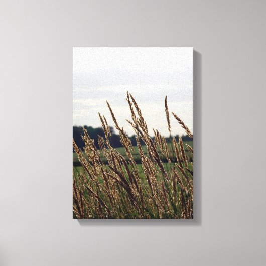 Grassen die in de wind blazen canvas afdruk (Voorkant)