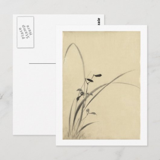 Grassen, Hokusai Japans Kunstwerk Briefkaart (Voorkant / Achterkant)