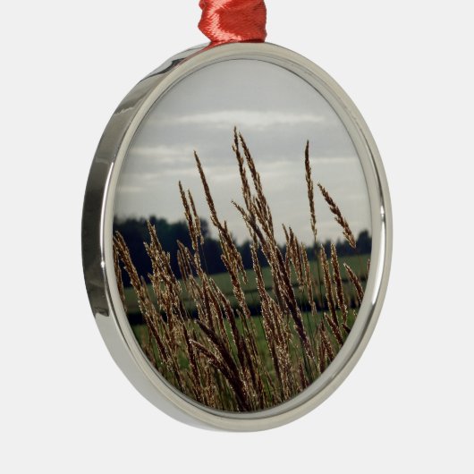 Grassen in de wind metalen ornament (Rechts)