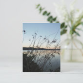 Grassen op het Sunset-meer Briefkaart (Staand voorkant)