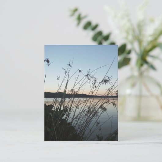 Grassen op het Sunset-meer Briefkaart (Staand voorkant)