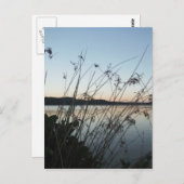 Grassen op het Sunset-meer Briefkaart (Voorkant / Achterkant)