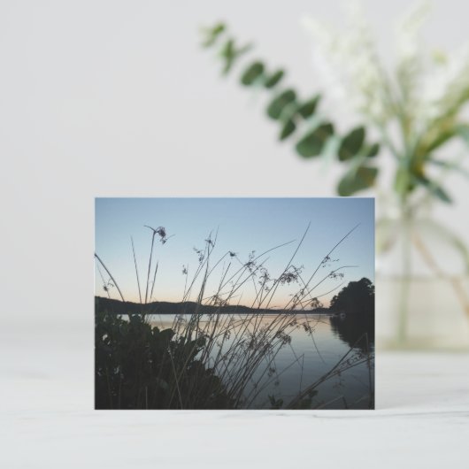 Grassen op het Sunset-meer Briefkaart (Staand voorkant)