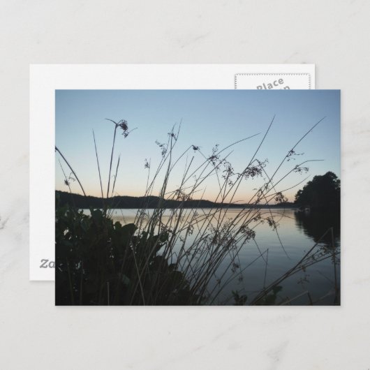 Grassen op het Sunset-meer Briefkaart (Voorkant / Achterkant)