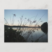 Grassen op het Sunset-meer Briefkaart (Voorkant)