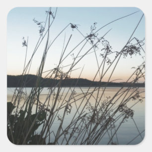 Grassen op het Sunset-meer Vierkante Sticker