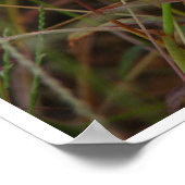 Grassen Poster (Hoek)