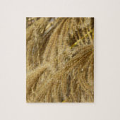 Grassen voor sierdoeleinden in Herfst Legpuzzel (Verticaal)