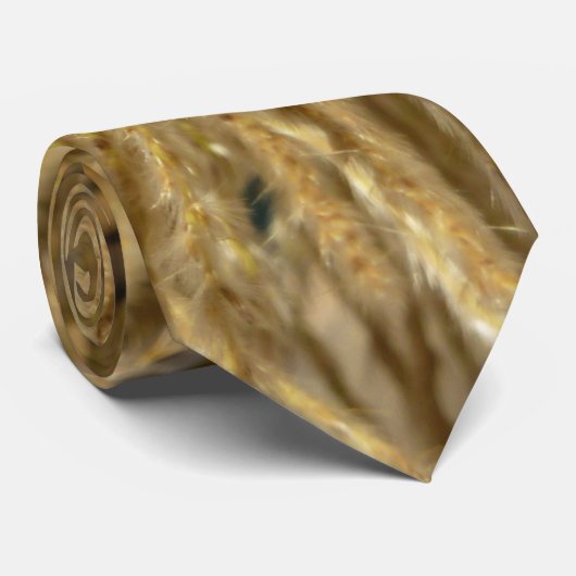 Grassen voor sierdoeleinden in Herfst Stropdas (Opgerold)