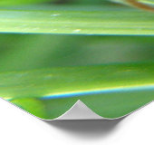 Grasshop afdrukken poster (Hoek)