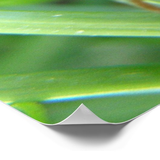 Grasshop afdrukken poster (Hoek)