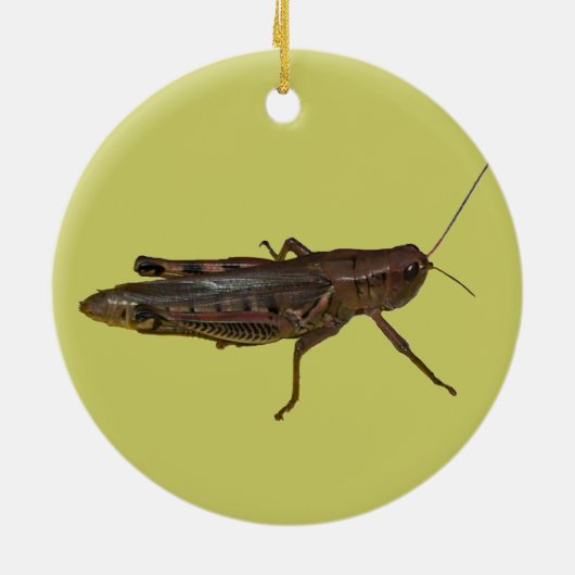 Grasshop-ontwerp Keramisch Ornament (Achterkant)