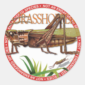 Grasshop Sticker