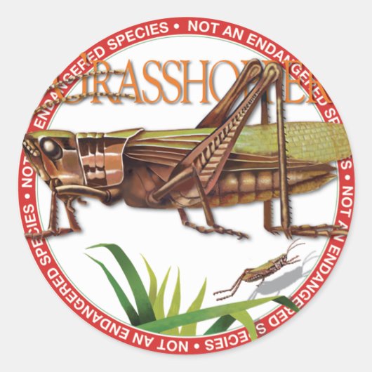 Grasshop Sticker (Voorkant)