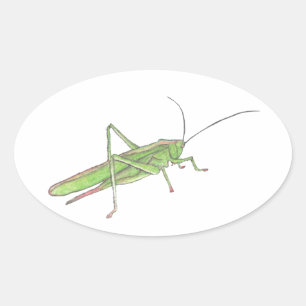 Grasshop Sticker