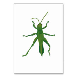Grasshopper Aangepaste Insecten Lezing Flashcards Kaart