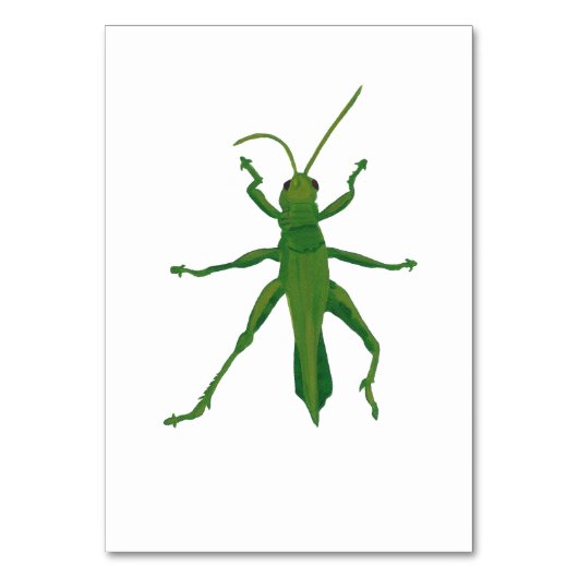 Grasshopper Aangepaste Insecten Lezing Flashcards Kaart (Voorkant)