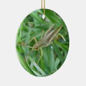 Grasshopper aangepaste verjaardag keramisch ornament (Rechts)