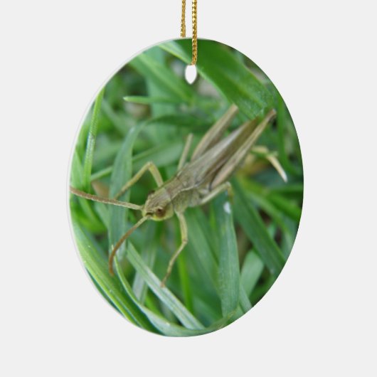 Grasshopper aangepaste verjaardag keramisch ornament (Rechts)